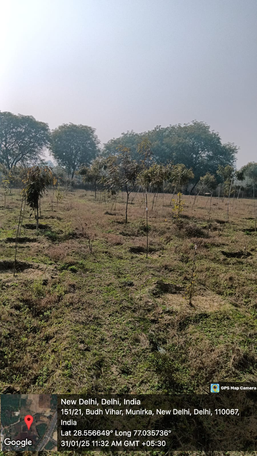 Compensatory Afforestation